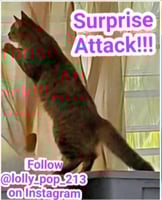 sticker image #24