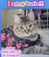 sticker image #25