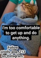 sticker image #26