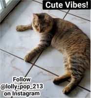 sticker image #28
