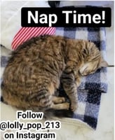 sticker image #29