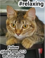sticker image #6