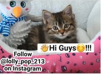 sticker image #7