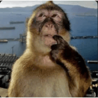 sticker image #14