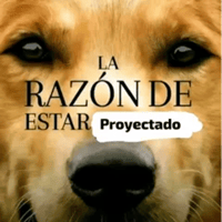 sticker image #7
