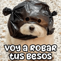 sticker image #25