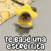 sticker image #29