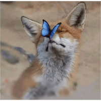 sticker image #1