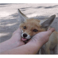 sticker image #11