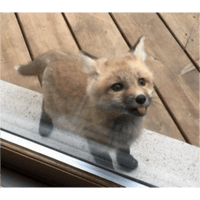 sticker image #12