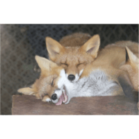 sticker image #15