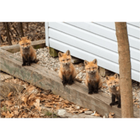 sticker image #18