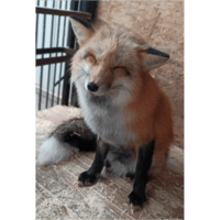 sticker image #19