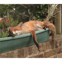 sticker image #20