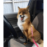 sticker image #21