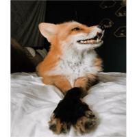 sticker image #22