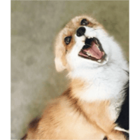 sticker image #23