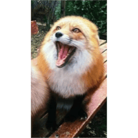 sticker image #24