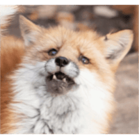sticker image #25