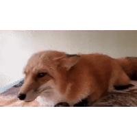 sticker image #26