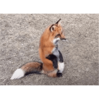 sticker image #29