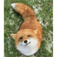 sticker image #3