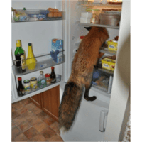 sticker image #30