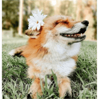 sticker image #4