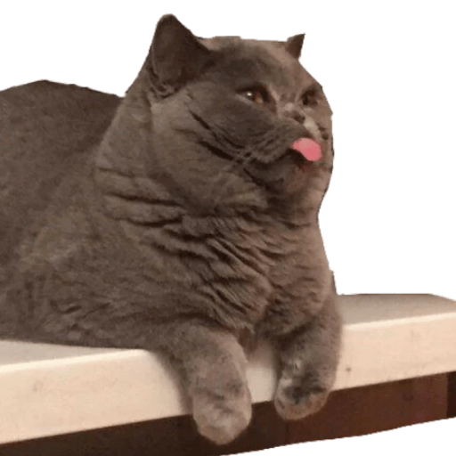 tray_icon #127256 sticker_pack