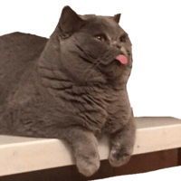 tray_icon