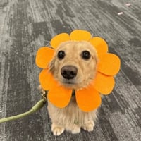sticker image #21
