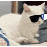sticker image #18