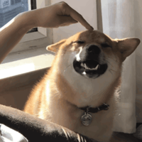 sticker image #16