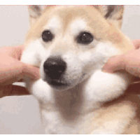 sticker image #18
