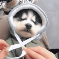 sticker image #24