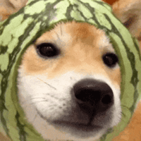 sticker image #28