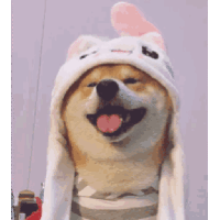 sticker image #30