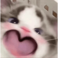 sticker image #15