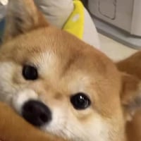 sticker image #20
