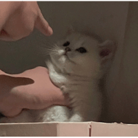 sticker image #22