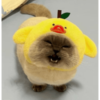 sticker image #9