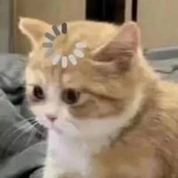 sticker image #13