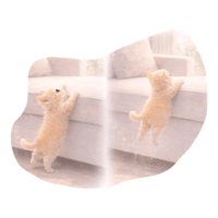 sticker image #1