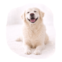 sticker image #10