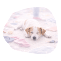 sticker image #14
