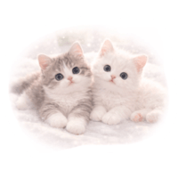 sticker image #22