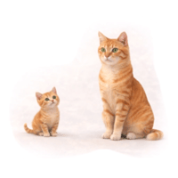 sticker image #28