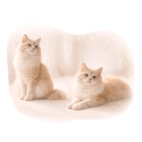 sticker image #29