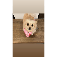 sticker image #2