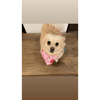 tray_icon #127178 sticker_pack